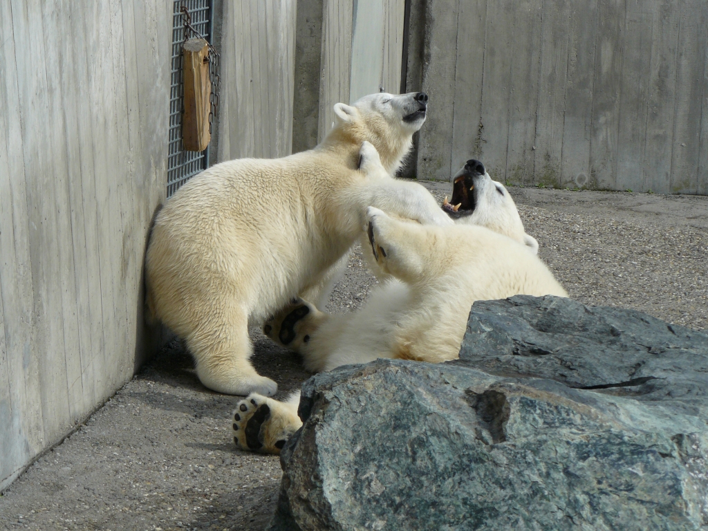 Wilbär und Corinna